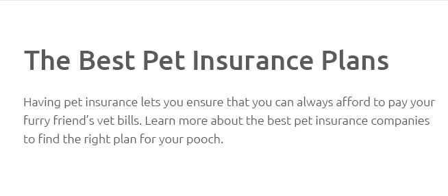 best-pet-insurance-ratings-jan-2025